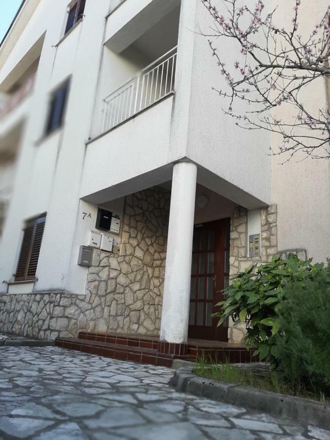 Studio Apartman Lady Apartment นยีวีเซ ภายนอก รูปภาพ